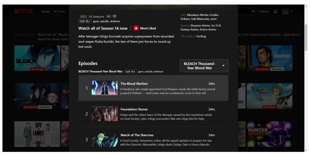 Screenshot that shows Bleach Thousand Year Blood War is available on Netflix